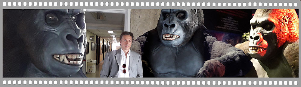 King Kong Paolocci Effetti Speciali